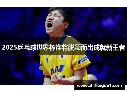 2025乒乓球世界杯谁将脱颖而出成就新王者