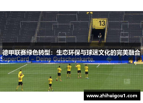 德甲联赛绿色转型：生态环保与球迷文化的完美融合